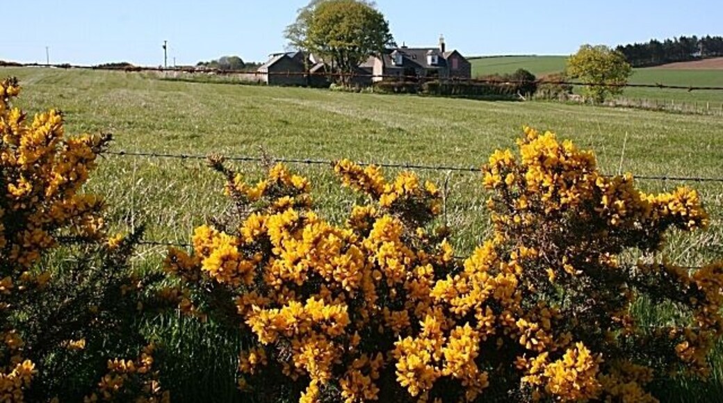 North Mains of Culsh. Taken from the signposted path which passes along the field edge and goes on to Stevensburn 434159.