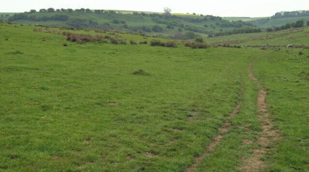 Wonderful Wolds There is a myth that Lincolnshire is flat! Whilst these hills might be considered small to some they nevertheless form just a tiny part of the picturesque Wolds. Even on a rather cloudy day their beauty is there to behold.