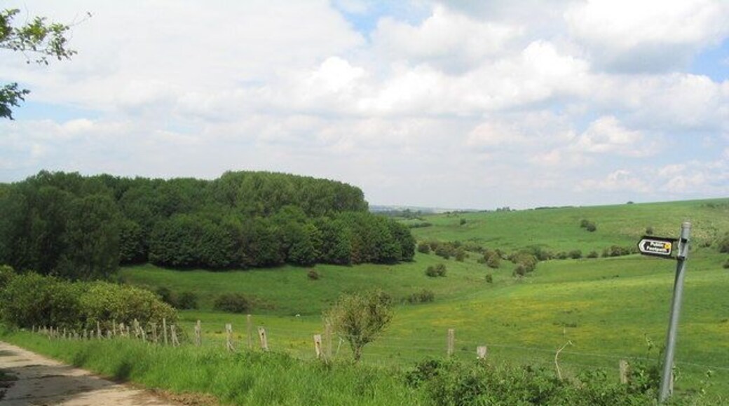 The valley of Nettleton Beck, Lincolnshire Wolds. After overcast and drizzly days at the start of our walk from the northern end of the Viking Way, I am now beginning to fully enjoy the beauty of the Wolds.