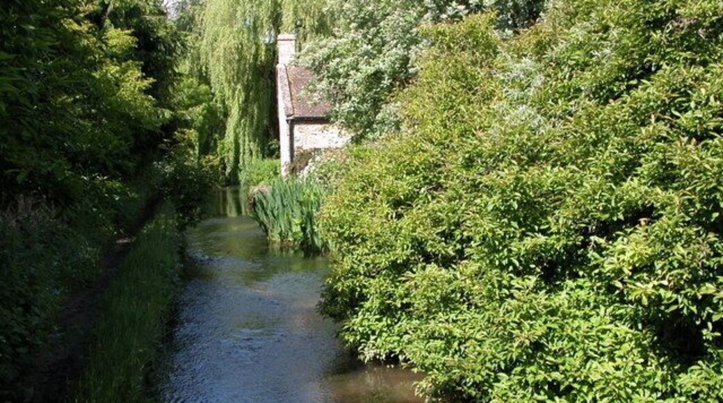 River Windrush, Naunton. As the river Windrush flows through Naunton the village's main street is actually lower than the bed of the river.