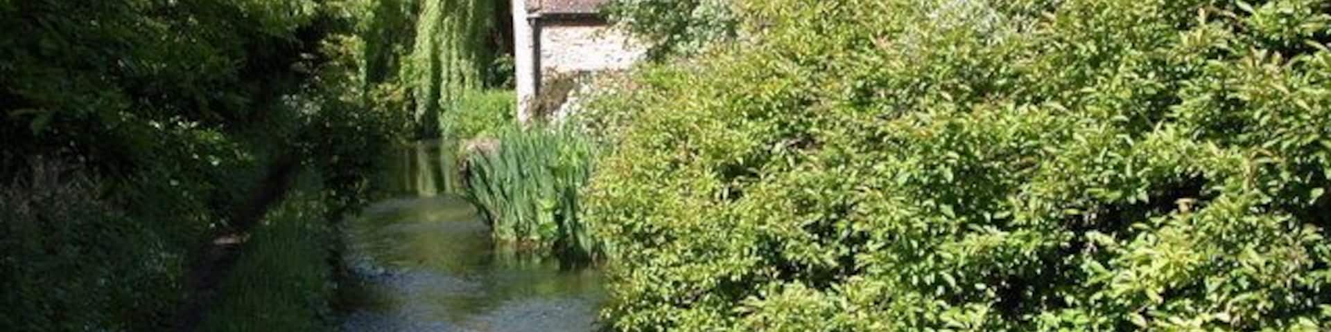 River Windrush, Naunton. As the river Windrush flows through Naunton the village's main street is actually lower than the bed of the river.
