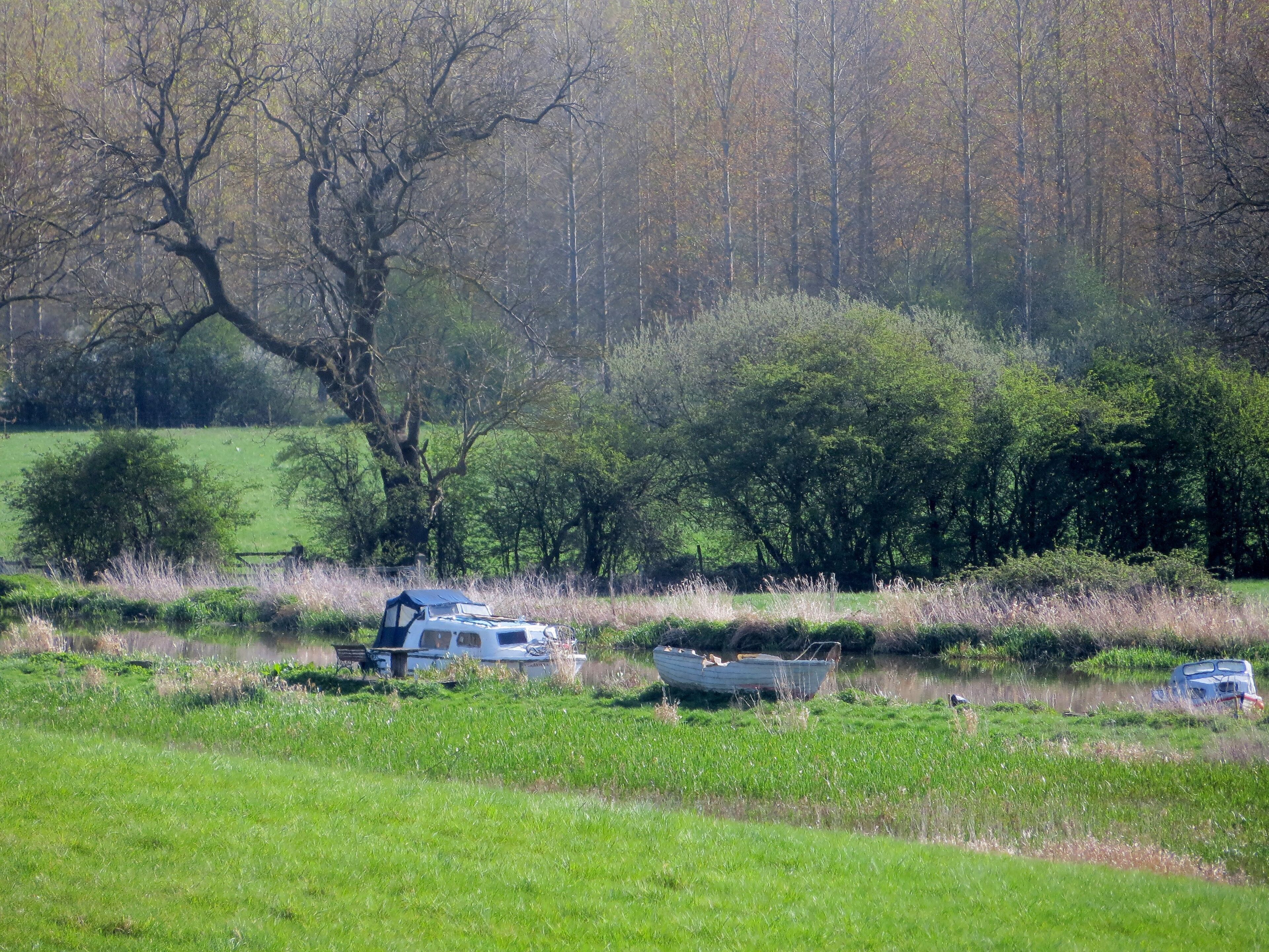 River Nene near Yarwell - April 2014