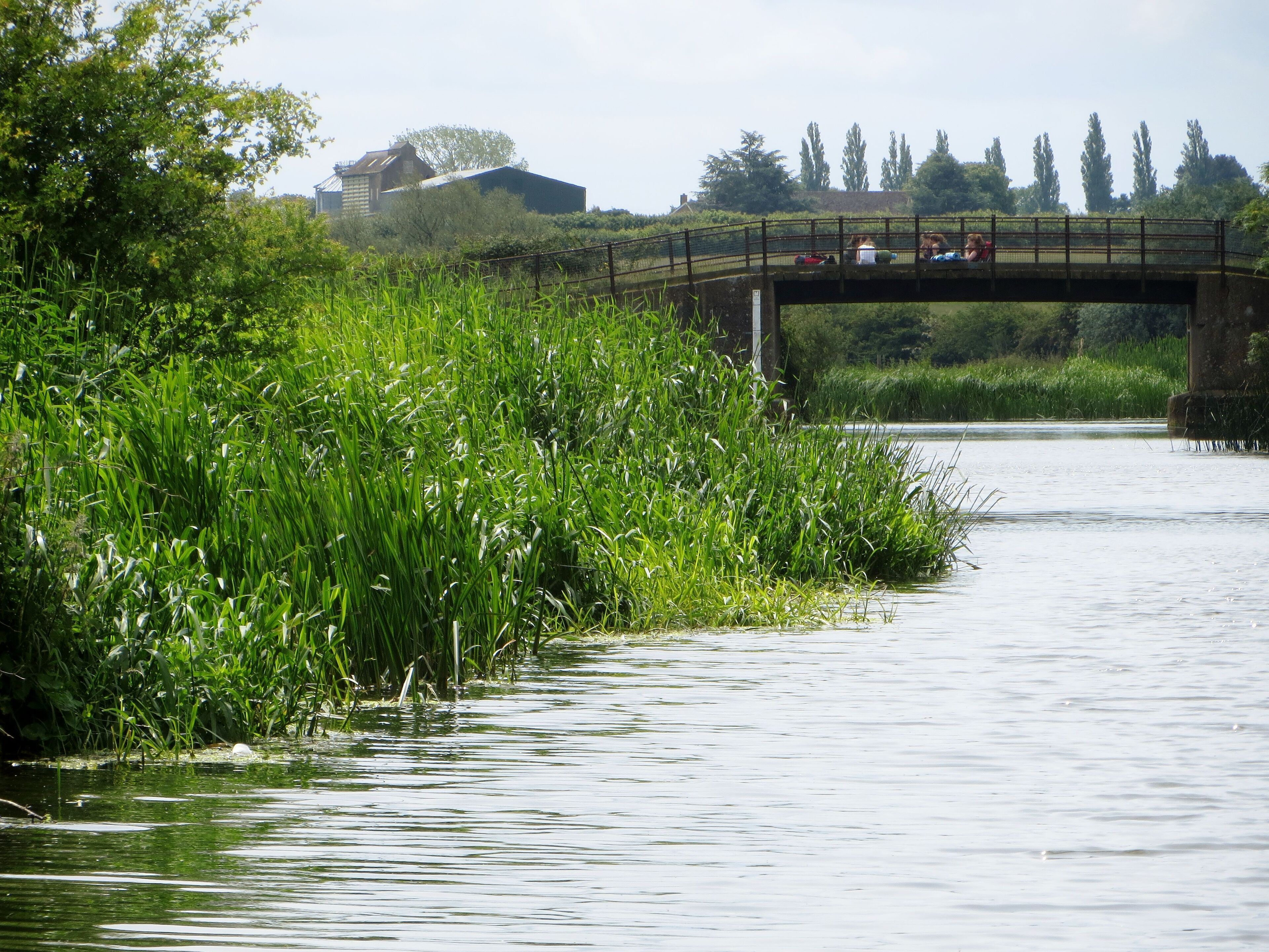 Approaching farm bridge at Nassington - June 2013