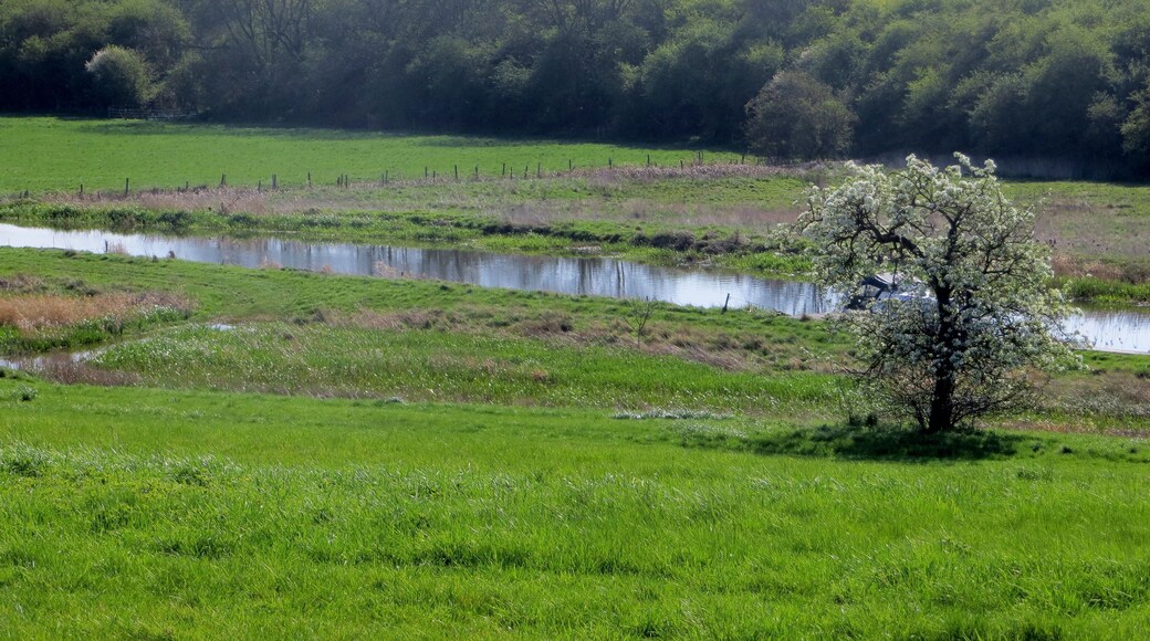 River Nene between Nassington & Yarwell - April 2014