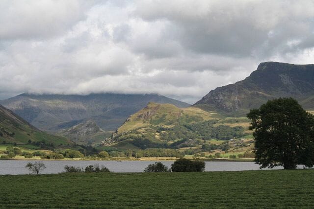 A mountainous landscape with a lake and a tree in the foreground.
