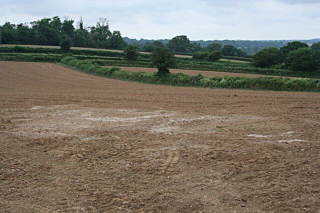 A Ploughed Field. The whitish staining on the field may be the result of the application of lime.