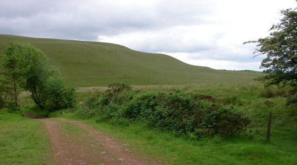 Track towards Fedw Fawr This forestry track loops around the western end of Usk Reservoir and gives access onto the open moor beyond the fence.