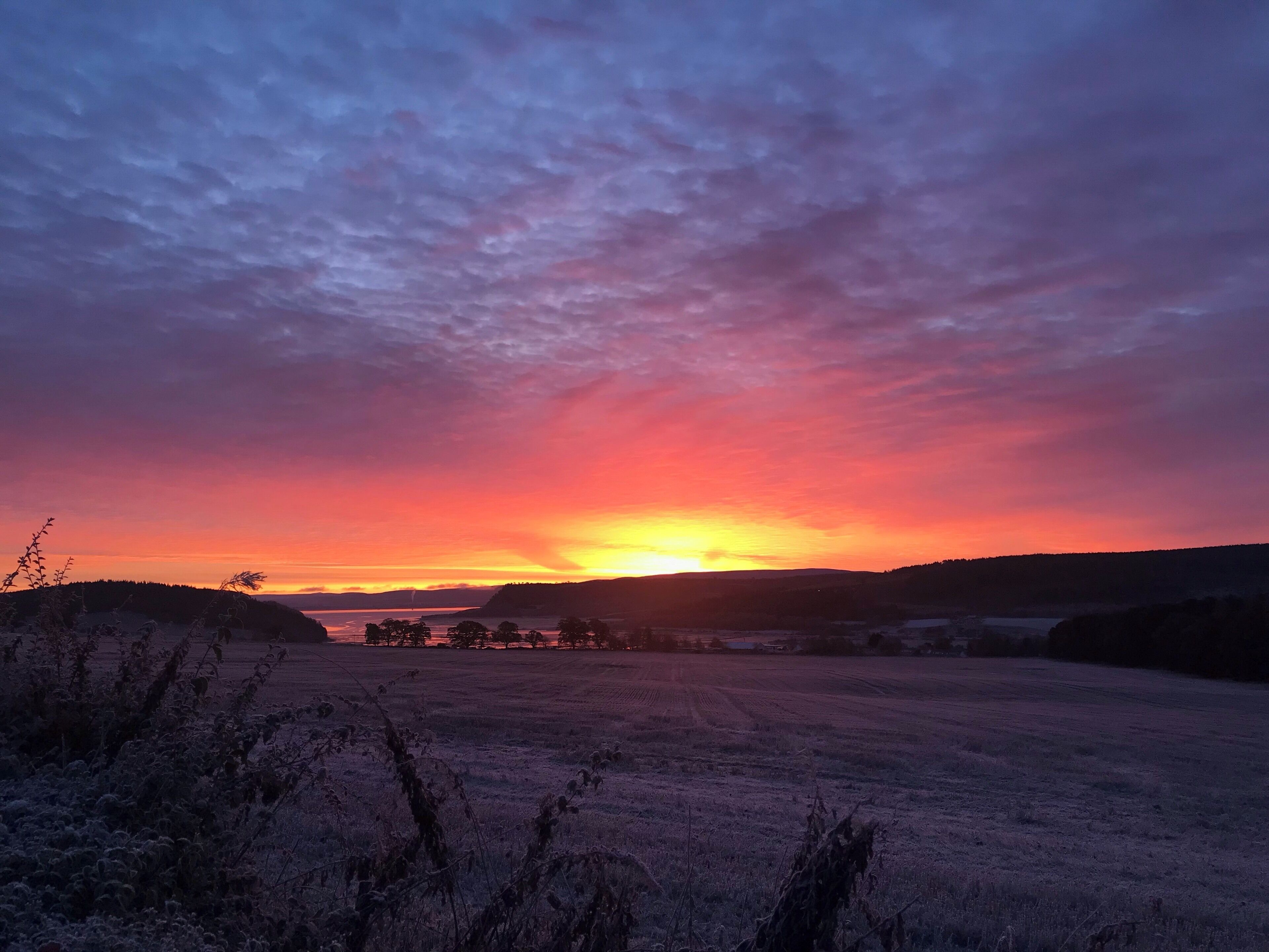 A beautiful morning and breathtaking colour palate... 

It was a frozen  morning at Munlochy, near Inverness.

#trovember!