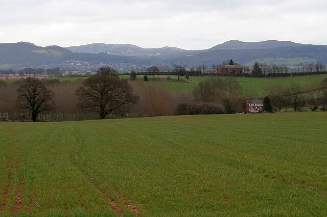 Fields of Much Marcle Looking over the fields, from the road to Rushall, towards Ryemeadows withLedbury on the distant hillside and the Malvern Hills on thy skyline with the magnificent British Camp on the right.