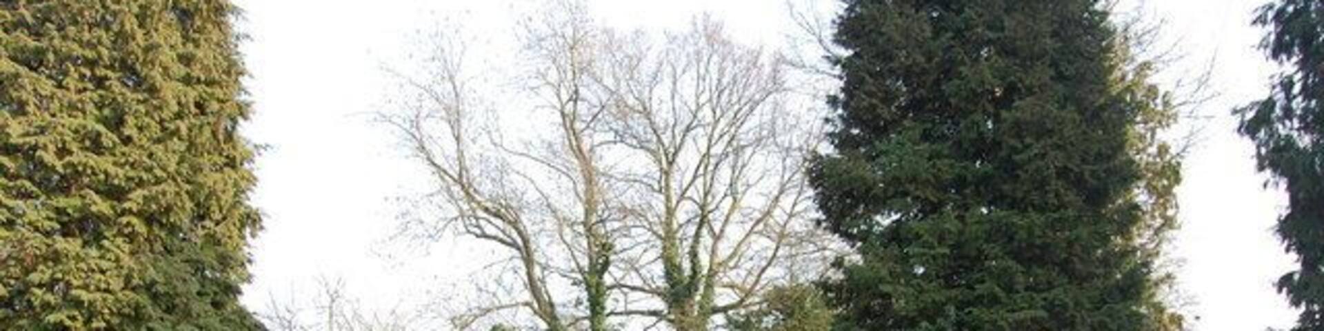 Pond at Lower Redding end