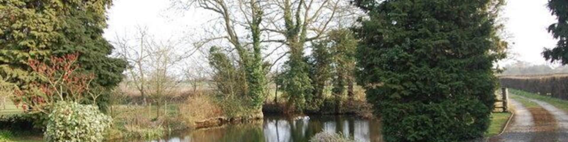 Pond at Lower Redding end