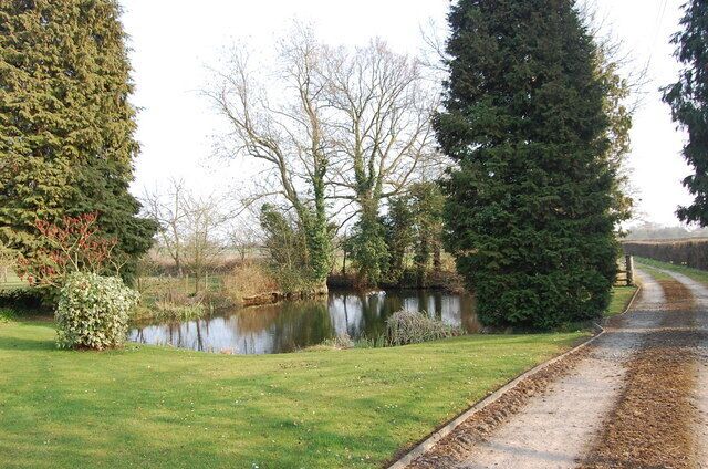 A rural landscape with a pond, a dirt path, and tall trees.