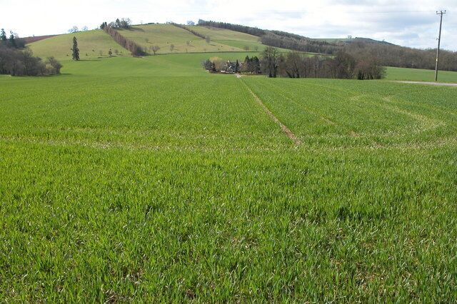 Home Farm, Much Dewchurch. View south to Home Farm from the road just to the east of Much Dewchurch. Today, the farm is surrounded by a winter cereal crop, though the 1940s OS map shows this land was parkland and the hill in the background wooded. In the far distance on the right is Orcop Hill.