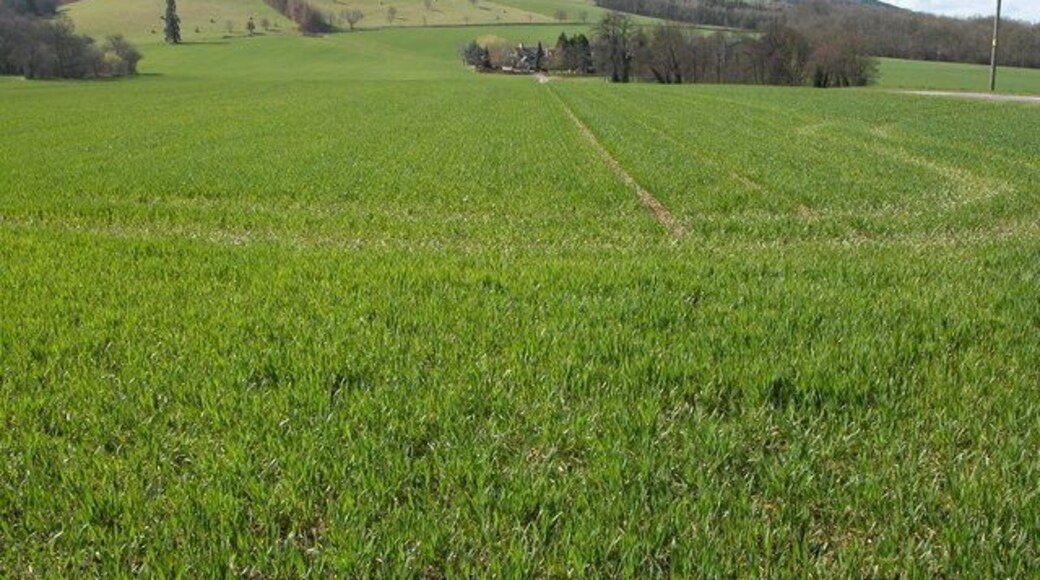Home Farm, Much Dewchurch. View south to Home Farm from the road just to the east of Much Dewchurch. Today, the farm is surrounded by a winter cereal crop, though the 1940s OS map shows this land was parkland and the hill in the background wooded. In the far distance on the right is Orcop Hill.
