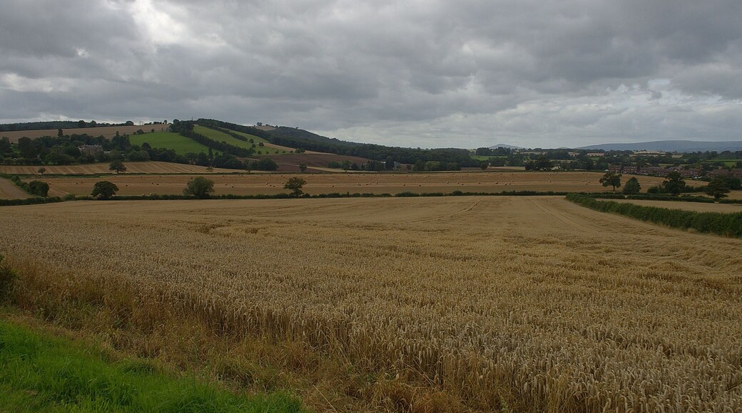 The view southwards from our holiday picnic field near Much Dewchurch.