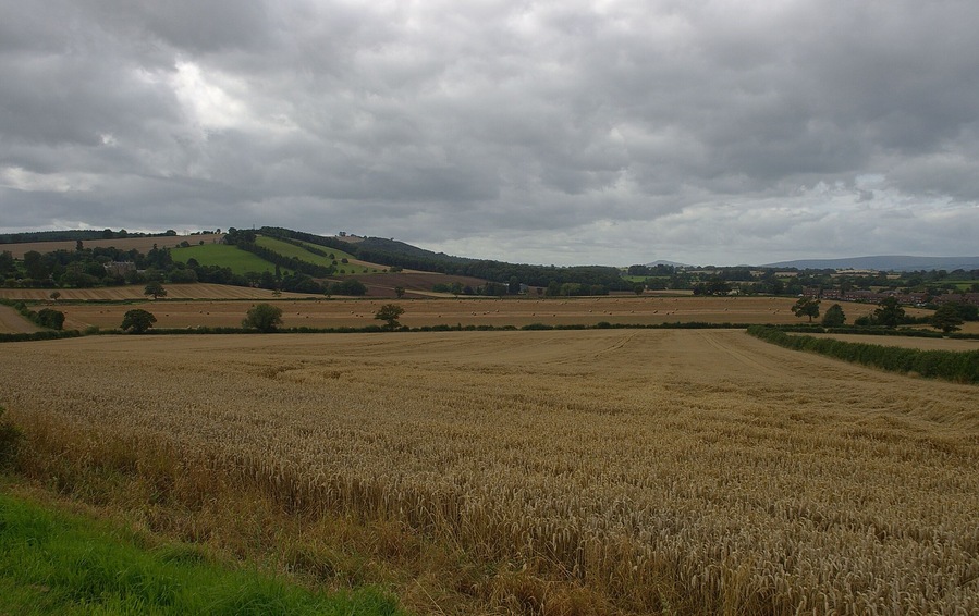 The view southwards from our holiday picnic field near Much Dewchurch.