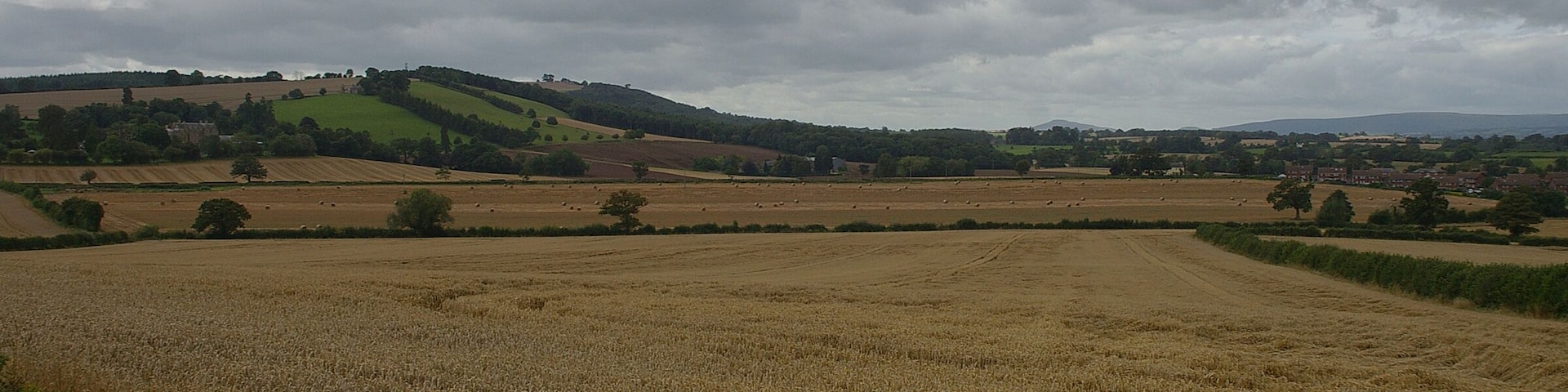 The view southwards from our holiday picnic field near Much Dewchurch.
