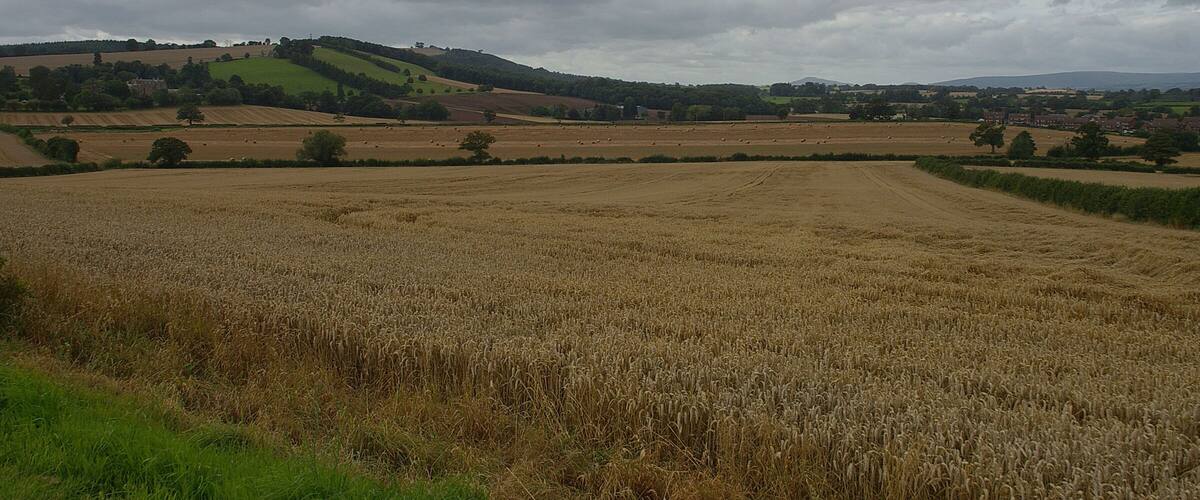 A rural landscape with fields, hills, and a village in the distance under a cloudy sky.