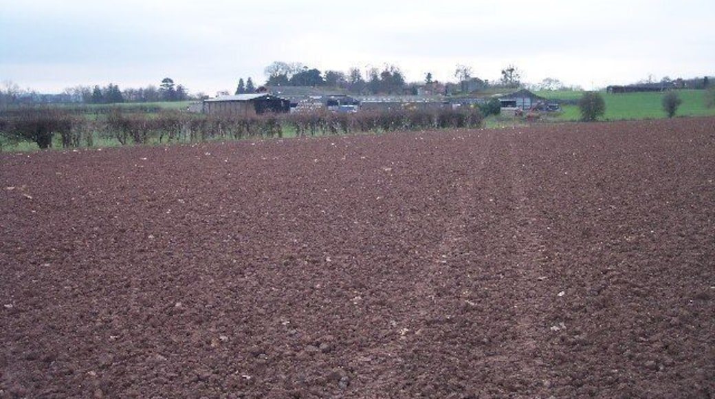 Three Choirs Way to Cowarne Court. Long distance footpath (joining Hereford, Worcester and Gloucester) ploughed up between Much Cowarne Church and Cowarne Court, but marked by quad bike. For more information see: tracks.http://www.walkingpages.co.uk/trails_paths/LDP_threechoirsway.htm