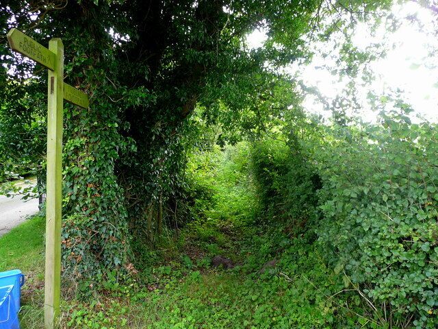 Footpath to the A49 Rather overgrown showing not much use. The blue boxes are the containers used for Herefordshire's excellent recycling scheme.