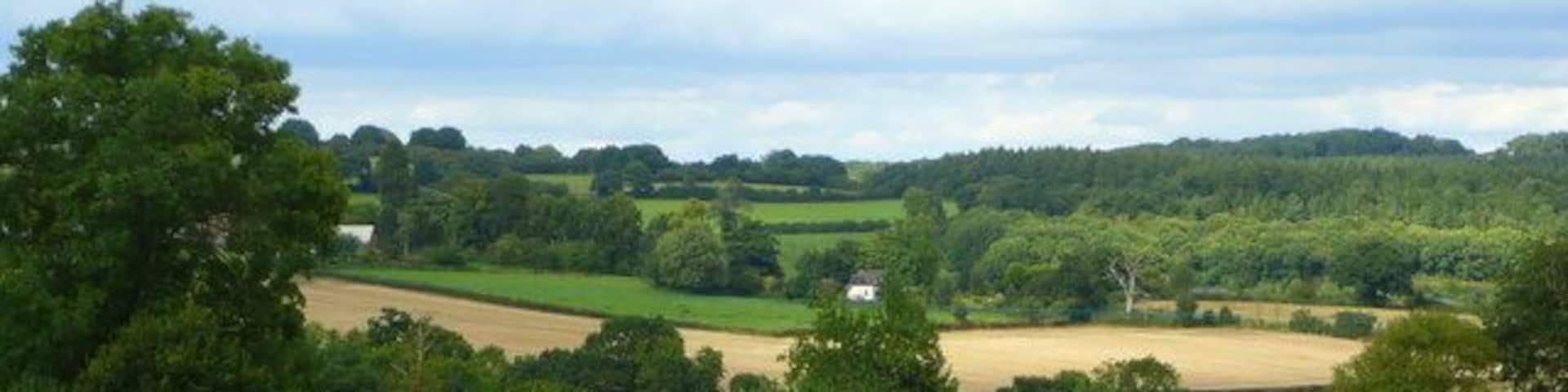 View north-east of Much Birch Looking from Holly Bush Lane over farmland to Athelstan's Wood.