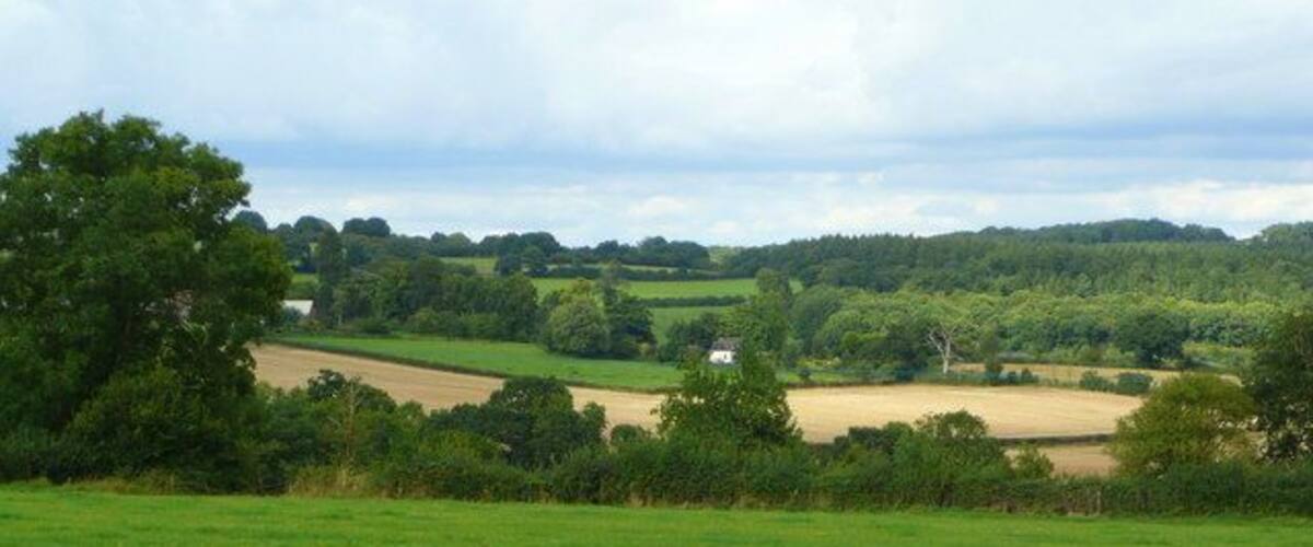 A rural landscape with rolling hills, fields, and scattered trees.