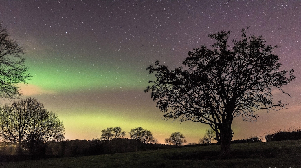 #BvSAstro
I was lucky enough to catch the Aurora putting on an awesome display in the fields behind our house. The tree is a traditional Fairy Tree that has been here since before my grandparents time and woe betide anyone who causes harm to the Fairy Tree! Folklore predicts a sad end to that person.