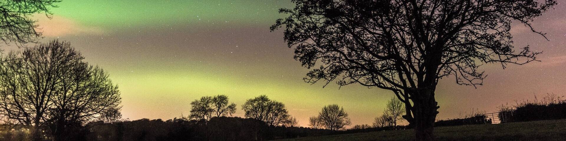 #BvSAstro
I was lucky enough to catch the Aurora putting on an awesome display in the fields behind our house. The tree is a traditional Fairy Tree that has been here since before my grandparents time and woe betide anyone who causes harm to the Fairy Tree! Folklore predicts a sad end to that person.