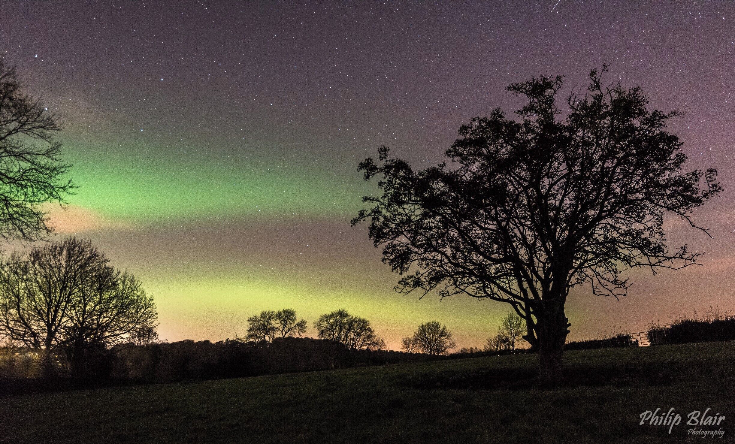 A night sky with stars and the aurora borealis.