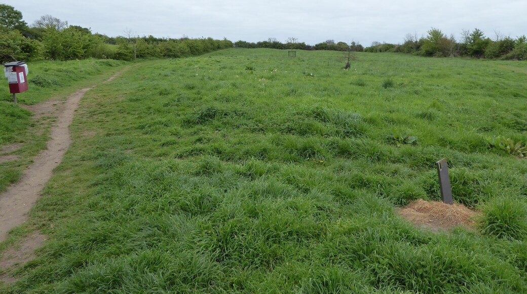 Crowfields Common is a Local Nature Reserve in Moulton in Northamptonshire.