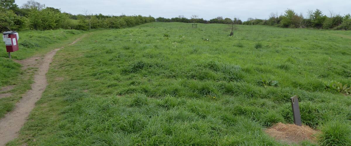A grassy field with a dirt path and a red post box.