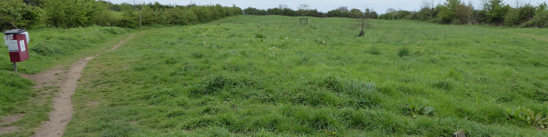 A grassy field with a dirt path and a red post box.