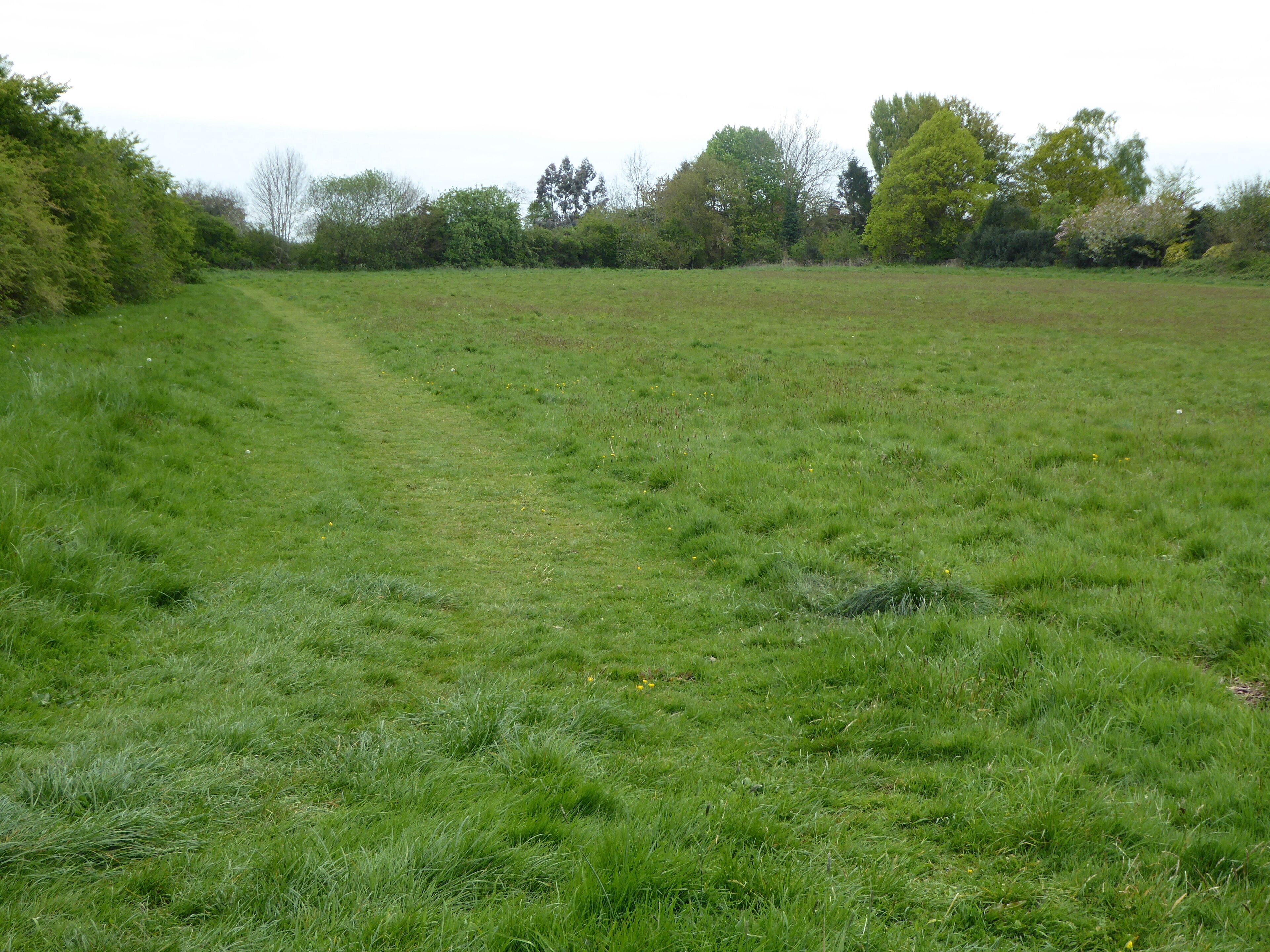 Crowfields Common is a Local Nature Reserve in Moulton in Northamptonshire.