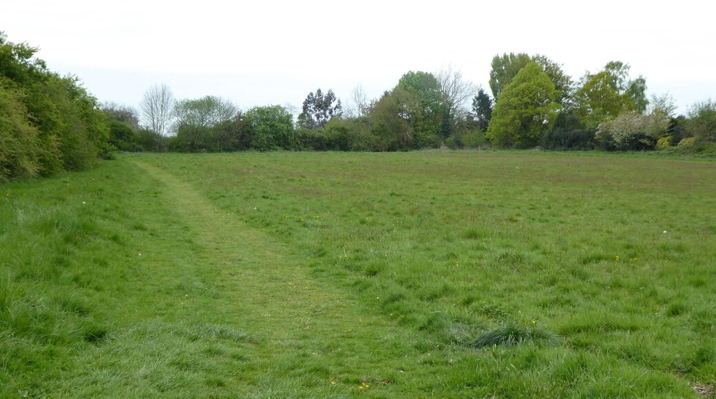 Crowfields Common is a Local Nature Reserve in Moulton in Northamptonshire.