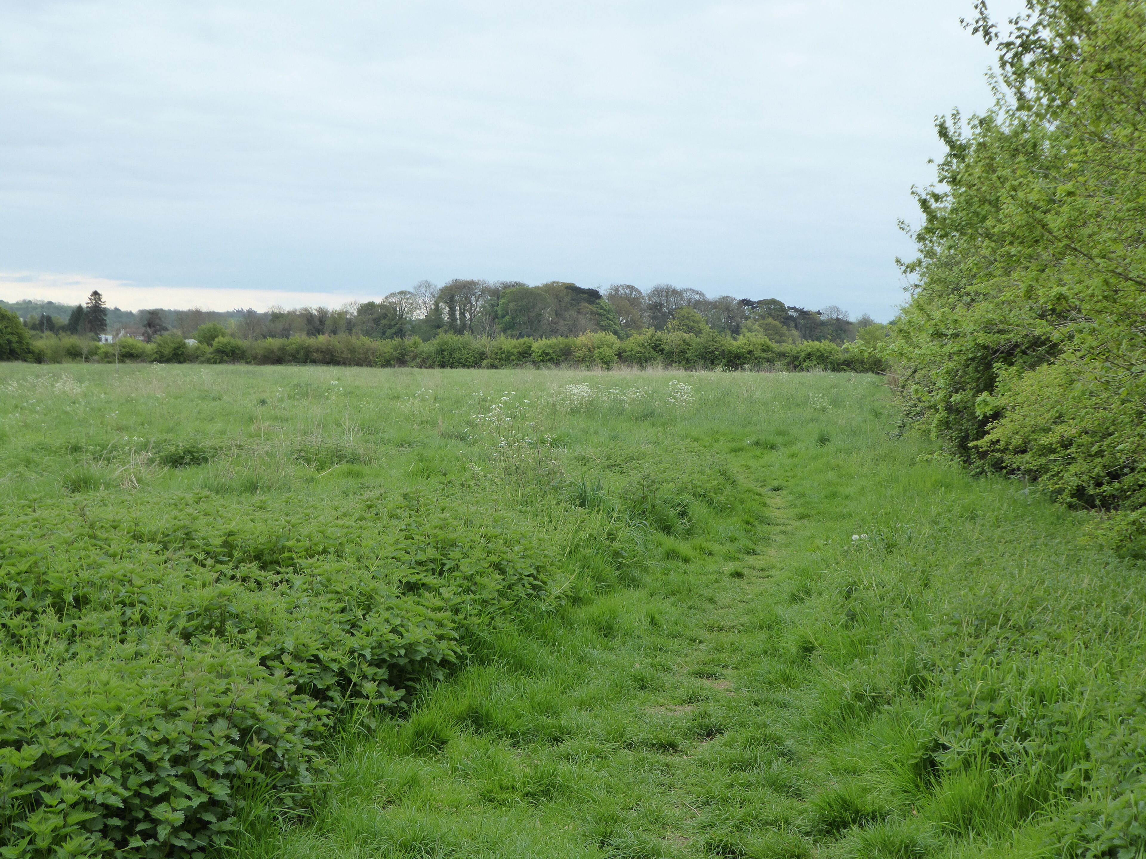Crowfields Common is a Local Nature Reserve in Moulton in Northamptonshire.