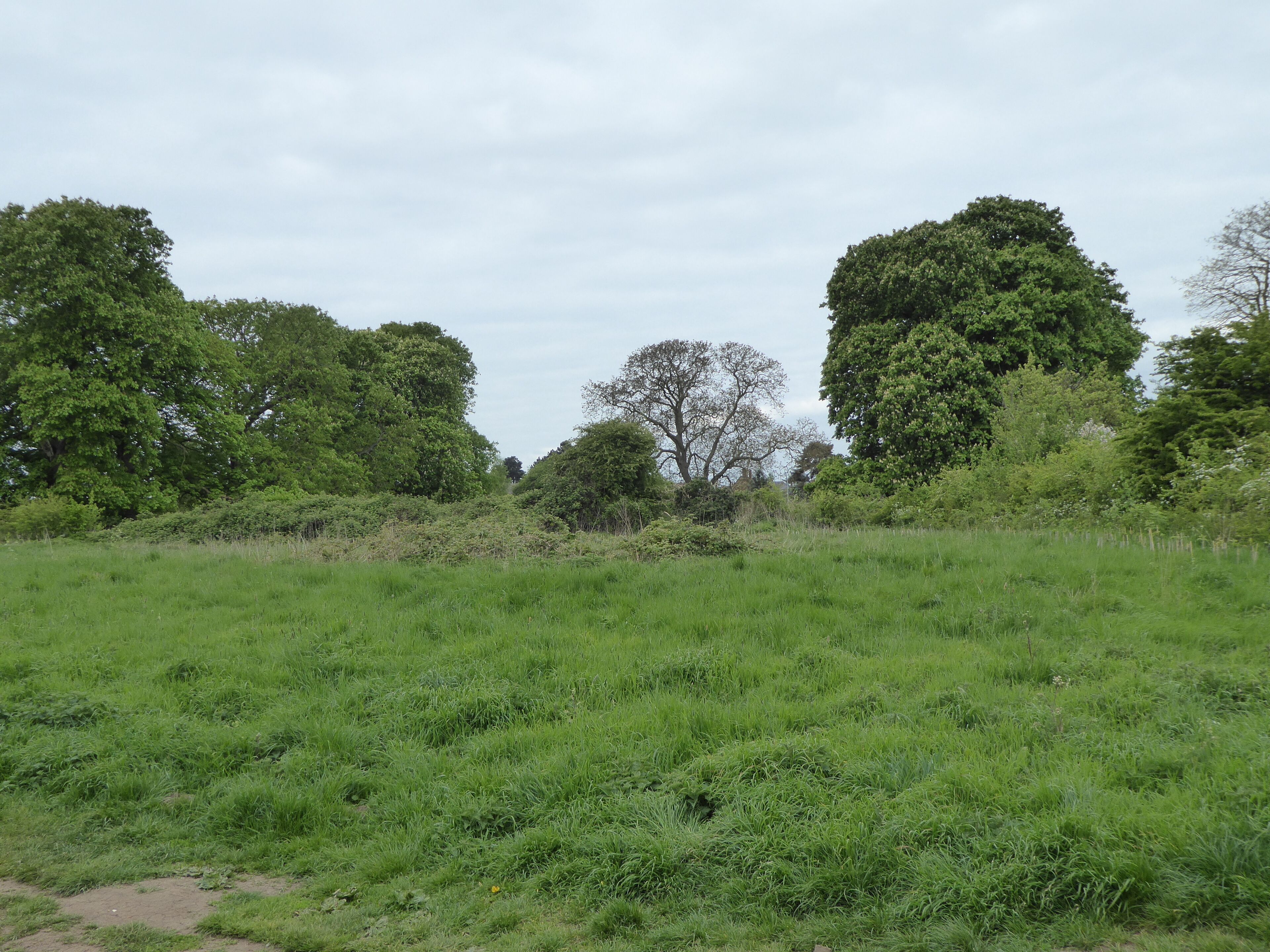 Crowfields Common is a Local Nature Reserve in Moulton in Northamptonshire.