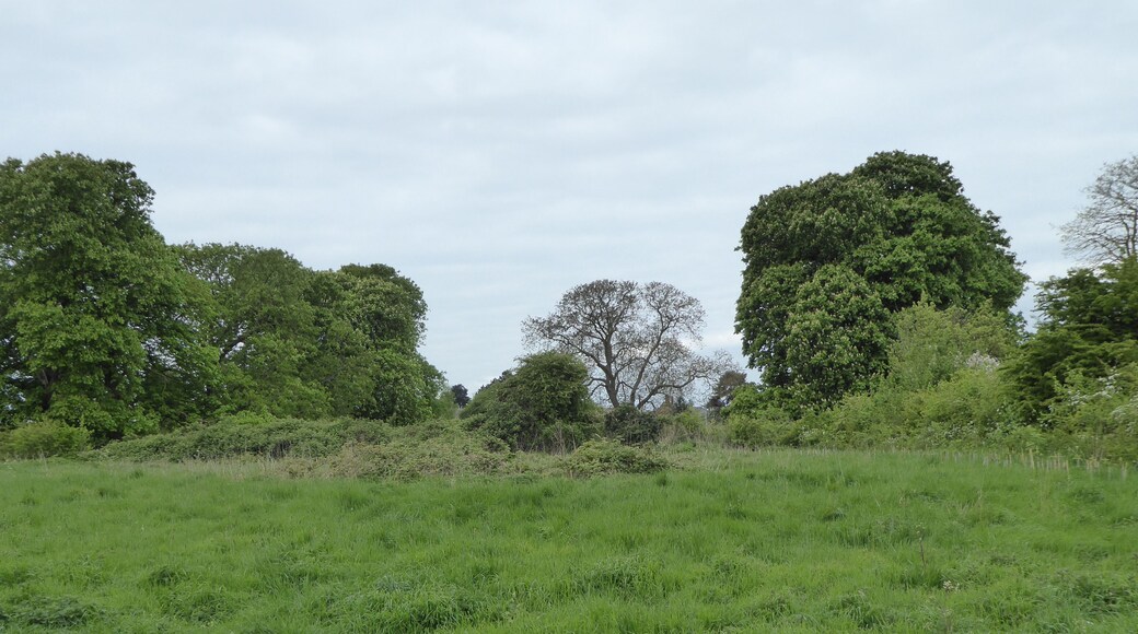 Crowfields Common is a Local Nature Reserve in Moulton in Northamptonshire.