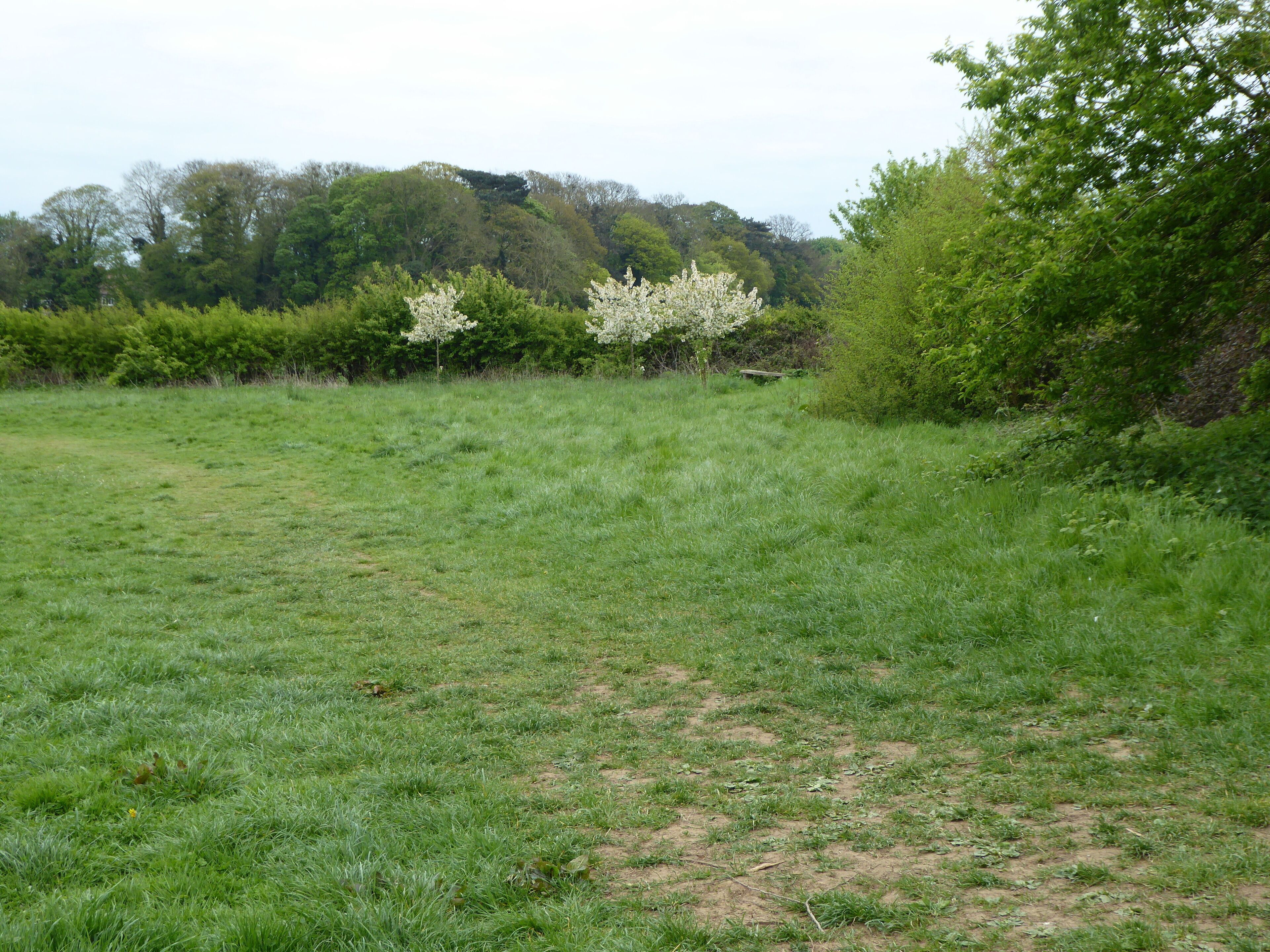 Crowfields Common is a Local Nature Reserve in Moulton in Northamptonshire.