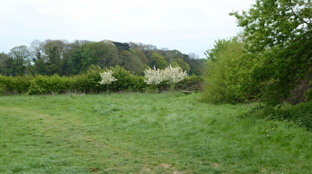 Crowfields Common is a Local Nature Reserve in Moulton in Northamptonshire.
