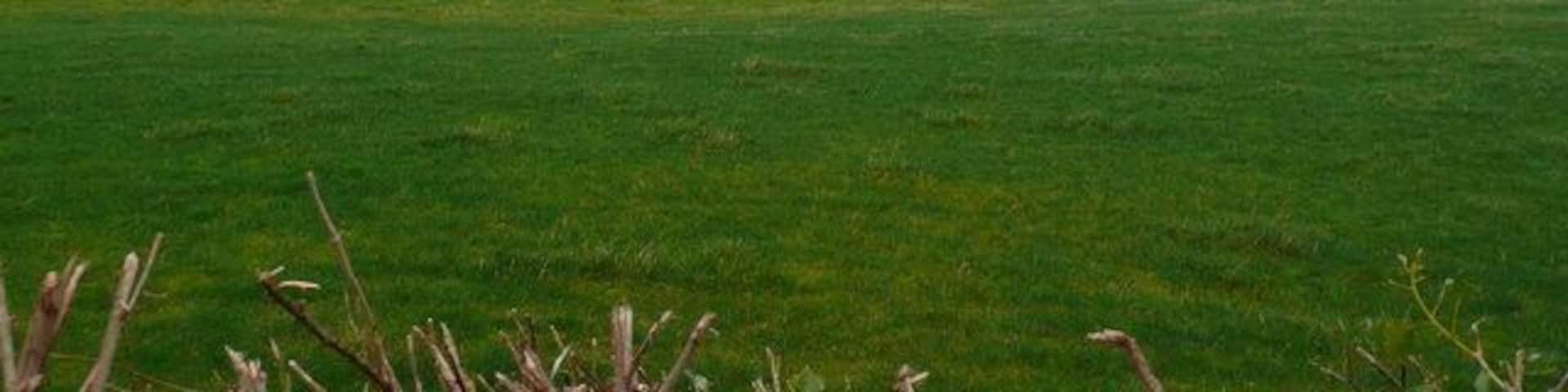 Bluntsmoor Farm Mosterton Dorset The farm lies in the rolling hills of West Dorset. This was taken from The A3066 between Mosterton and Misterton