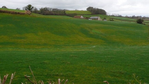 Bluntsmoor Farm Mosterton Dorset The farm lies in the rolling hills of West Dorset. This was taken from The A3066 between Mosterton and Misterton