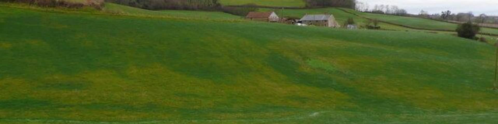 Bluntsmoor Farm Mosterton Dorset The farm lies in the rolling hills of West Dorset. This was taken from The A3066 between Mosterton and Misterton