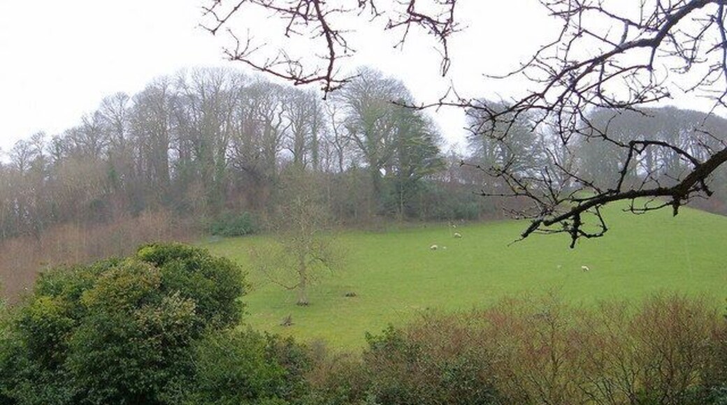View across Valley from Morval Churchyard