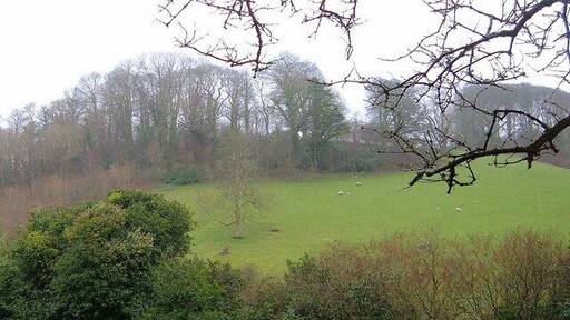 View across Valley from Morval Churchyard