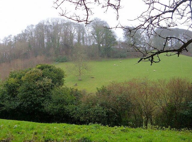 A green field with sheep, trees, and a bushy area in the foreground.