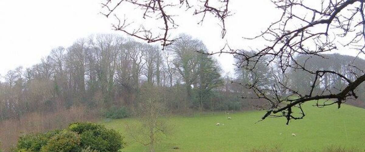 A green field with sheep, trees, and a bushy area in the foreground.