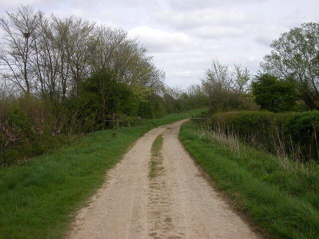 Moreton Pinkney The track to Plumpton Woods at the point where it crosses the stream.