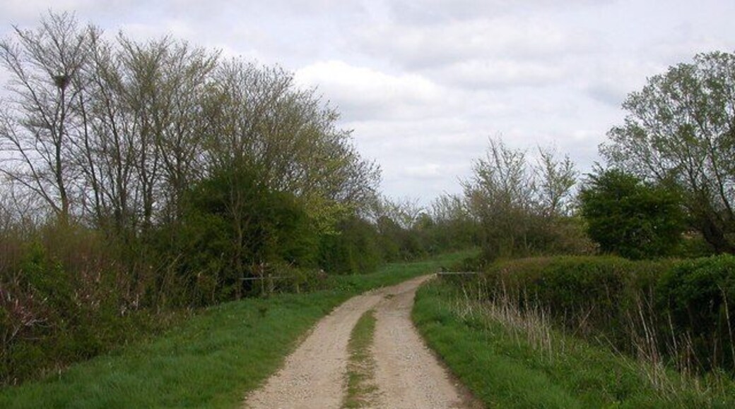 Moreton Pinkney The track to Plumpton Woods at the point where it crosses the stream.