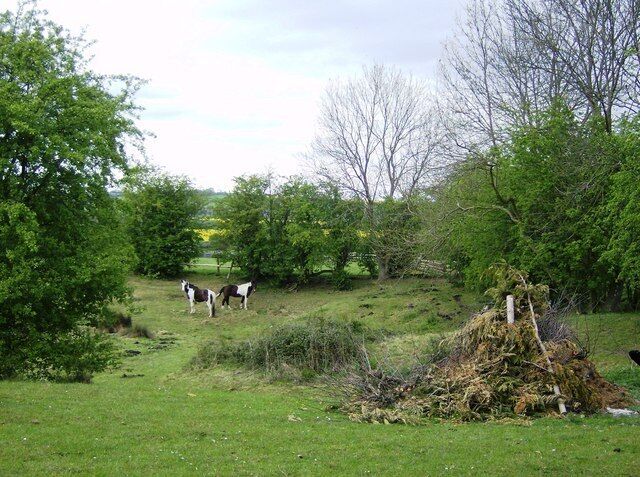 Towards Foxhill Farm From the Macmillan Way path between the two railway bridges, looking north towards Foxhill Farm.