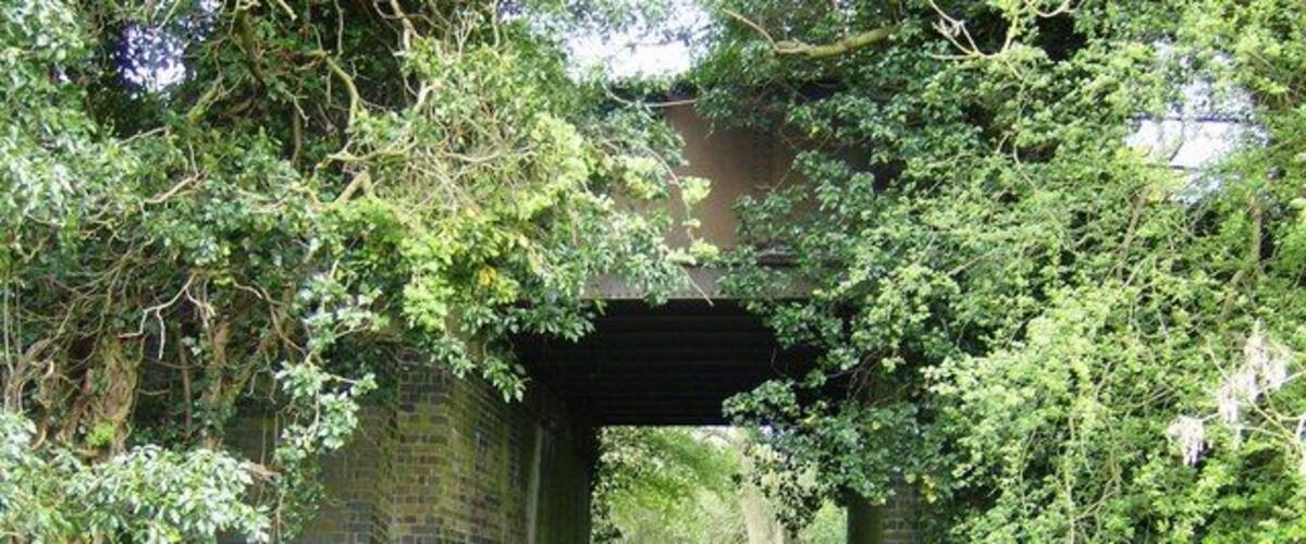 A narrow path under a brick bridge surrounded by lush greenery.